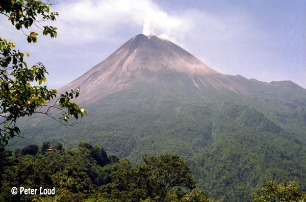 Merapi